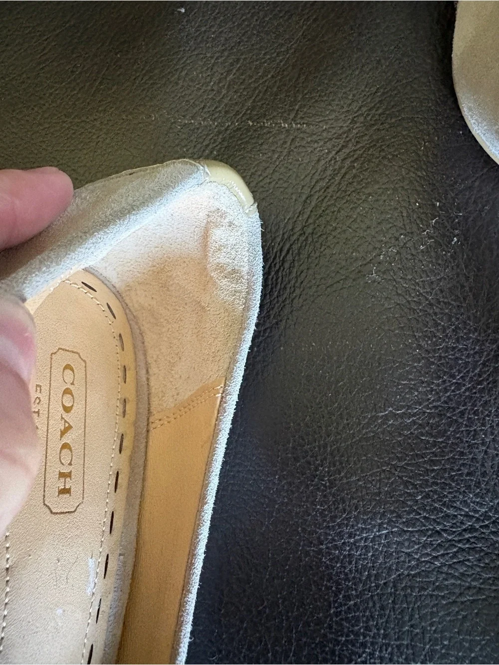 Coach ‘Wanda’ Taupe Suede Pumps
Pretty Gold Accent.
Classic Style and Beauty. - Picture 10 of 13
